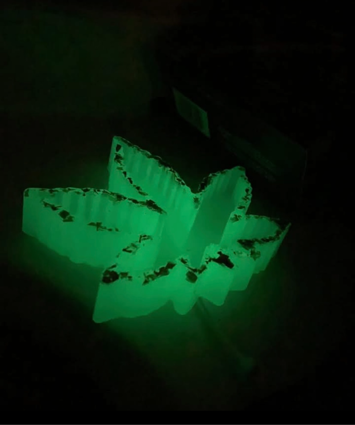 2/2 glow(ing) in the dark green leaf ashtray! 